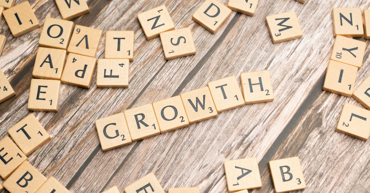 Long-Term Growth Strategy for Business Success Guide